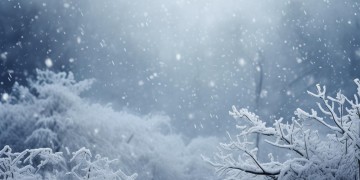 白雪歌送武判官究竟属于什么体裁？