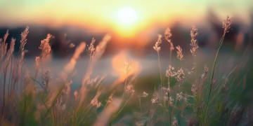 时光老是不停流浪究竟是哪首歌?