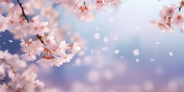 你当初没那么倔强出自哪首歌？