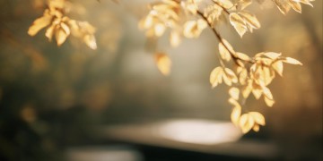 有你的存在好累究竟是哪首歌？