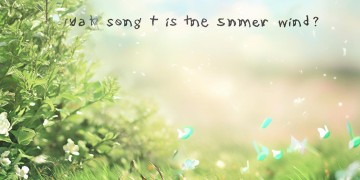 夏天的风是首什么歌？
