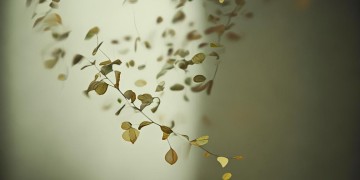 人老了没有了笑容究竟是哪首歌？