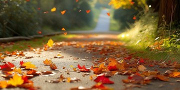 乡间小路落叶纷飞究竟是哪首歌？