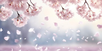 嘿jiu是哪首歌的歌词呢?