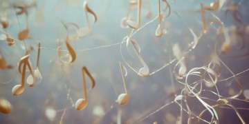 有些歌为什么不见了？