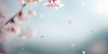 我们终于彻底分开是哪首歌？