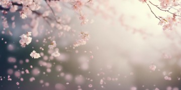 此去已经年出自什么歌？