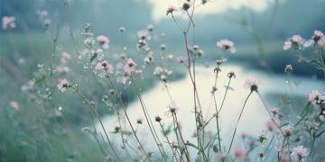 阿达扎莫歌词的歌究竟叫什么？