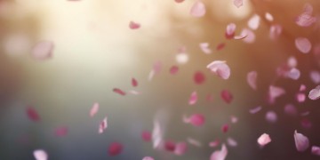 爱来爱去输了全部究竟是哪首歌？
