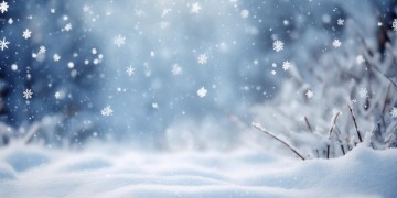 没有伤心的雪花出自哪首歌？