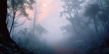 我想要迷失的地方究竟是哪首歌?