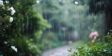 小雨在不停地下究竟是哪首歌？