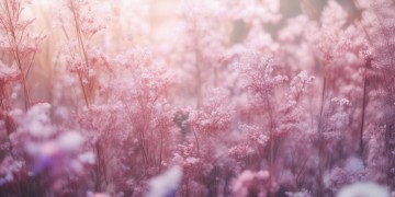 吴谨言聂远合作的歌叫什么？