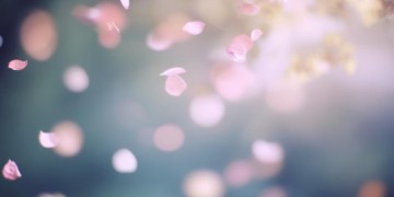 爱你有苦也有乐究竟是哪首歌？
