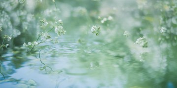 换我狂世温柔出自哪首歌？