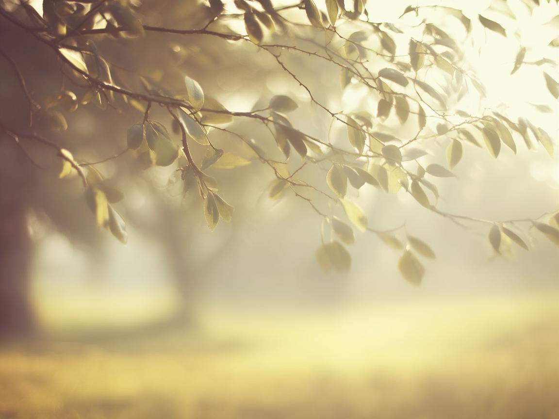 我也很伤心呀究竟是哪首歌? 我也很伤心呀究竟是哪首歌?